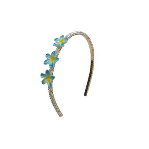 Hair Band 1PC